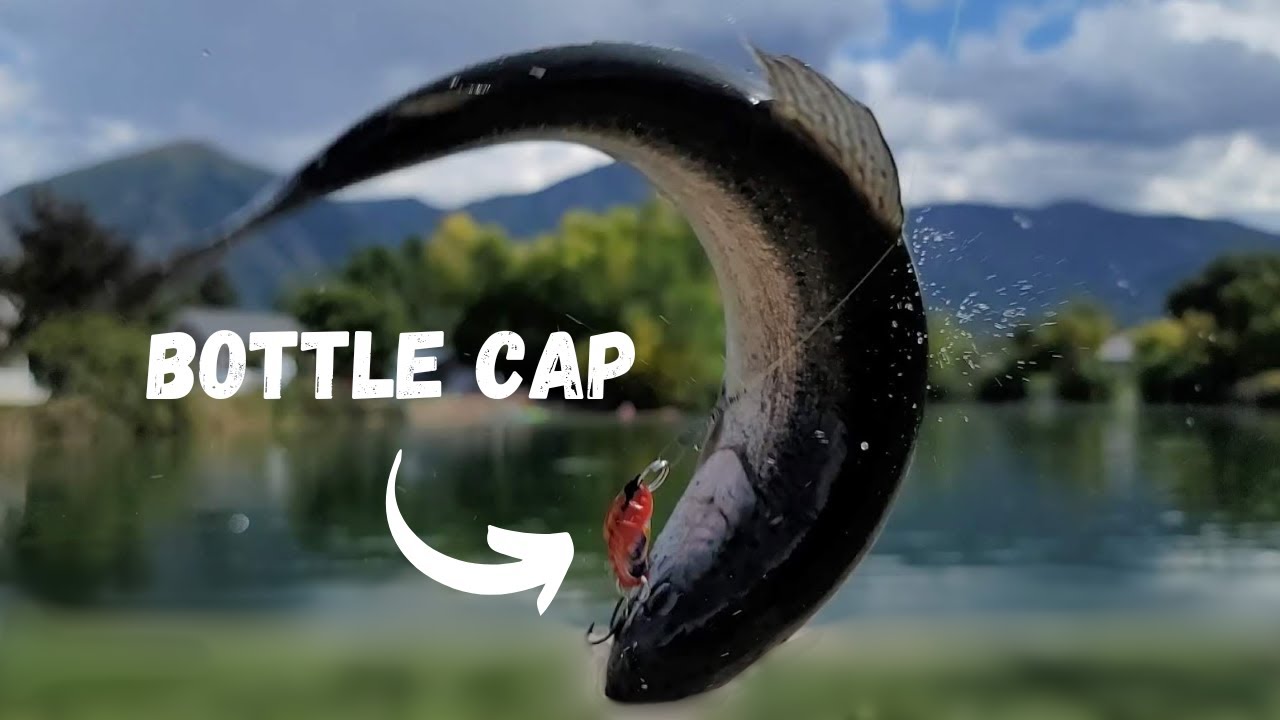 diy bottle cap fishing lures Lure DIY Bottle Cap Fishing Lure