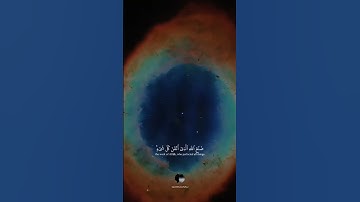 تلاوة هادئة أحمد خضر 💕