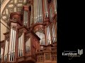 Erschienen ist der herrliche Tag, BWV 629, Mark Pacoe organ