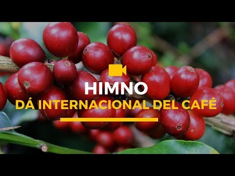 Video: Celebre El Día Internacional Del Café Con Una Taza De Café De Comercio Justo