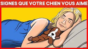 Quels sont les signes que votre chien vous aime