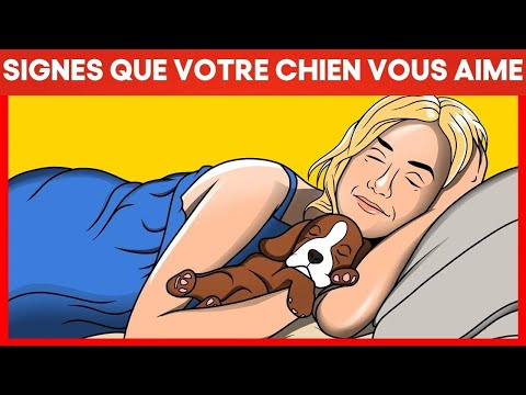 Vidéo: Ces 15 chiens réunis avec leurs propriétaires vont vous faire fondre