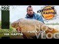 Ловля крупного карпа - трейлер