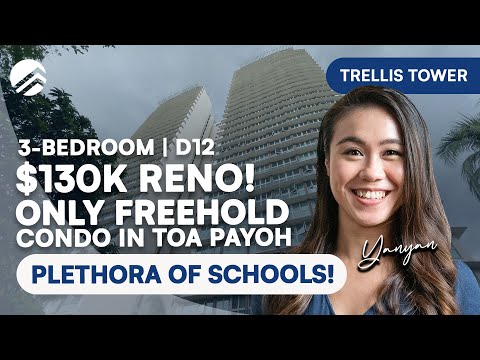 Trellis Tower - Freehold 3-Bedroom + Study Unit in Toa Payoh | SOLD by PLB | Home Tour | Yan Yan