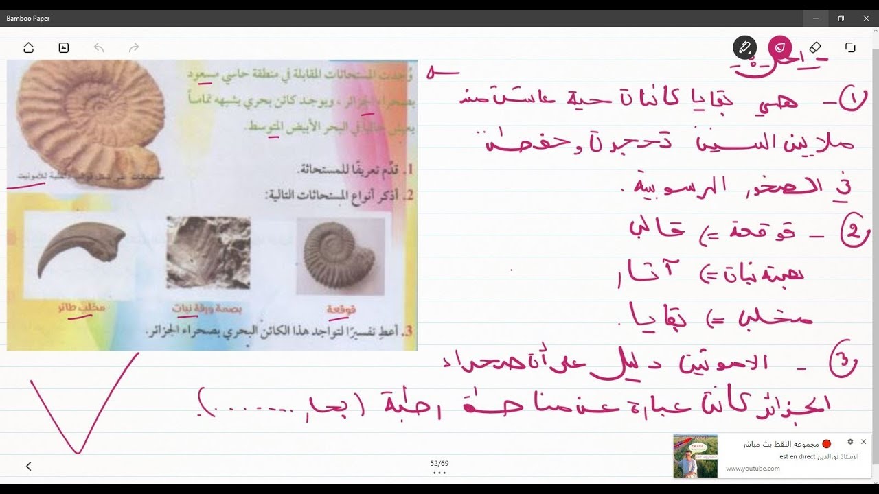 علوم طبيعية الثانية متوسط وضعية ادماجية على انواع المستحاثات