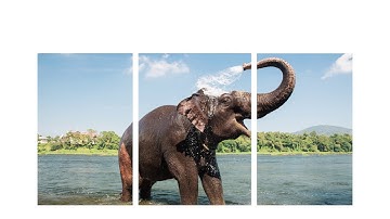 Image Wizards Proper Setup for a Triptych Photo