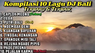 Kompilasi 10 DJ Bali Terbaru Dan Terbaik Sepanjang Masa || Rean Fvnky Remix