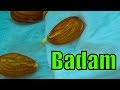 740# Badam Ka Plant Badam Se Bnao  | Almond From Seeds | Complete Video