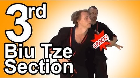 Wing Tsun 3rd Biu Tze section