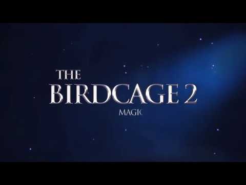 Anteprima video