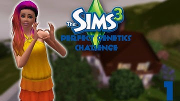 The Sims 3 - Perfect Genetics Challenge - Part 1 - Introductions