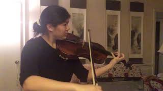 IMG 0255 (Brahms #8)