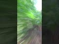 Ott Tänak pushing the limit in his home #RallyEstonia #shorts