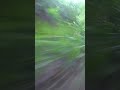 Ott Tänak pushing the limit in his home #RallyEstonia #shorts