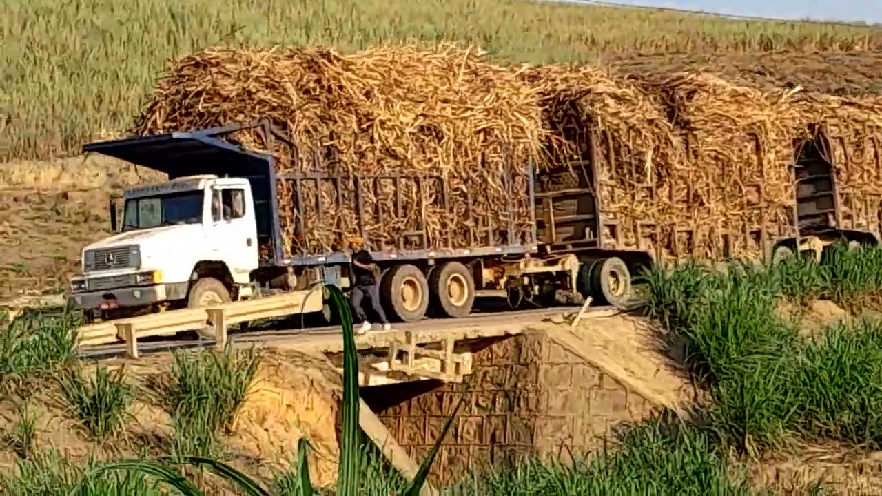 @ECS#CriadorDeConteúdos #carregamento #deCana. 