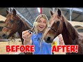 GIVING MY RESCUE HORSE A MAKEOVER *SATISFYING*