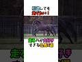 引退しても走りたい！走るのが大好きすぎる名馬3選#競馬 #horse