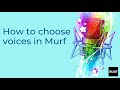 How to choose voices in Murf AI Studio