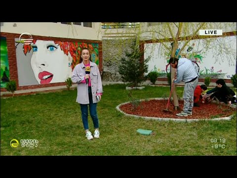 სამაგალითო სამეზობლო ფანასკერტელის ქუჩიდან