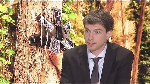 NetExplo 2015 Award Winner | Rainforest Connection