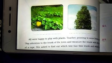 Chapter 5 class 3 plants-our friends||PSEB