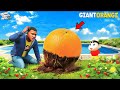Franklin and Shinchan Finally Find GIANT ORANGE In GTA 5 | Paradox FTW