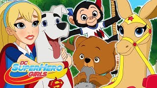 Топ-10 животных моментов | DC Super Hero Girls Россия