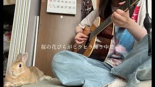 サクラウサギwithうさぎ - YouTube