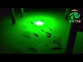 Led Fishing Lights 2