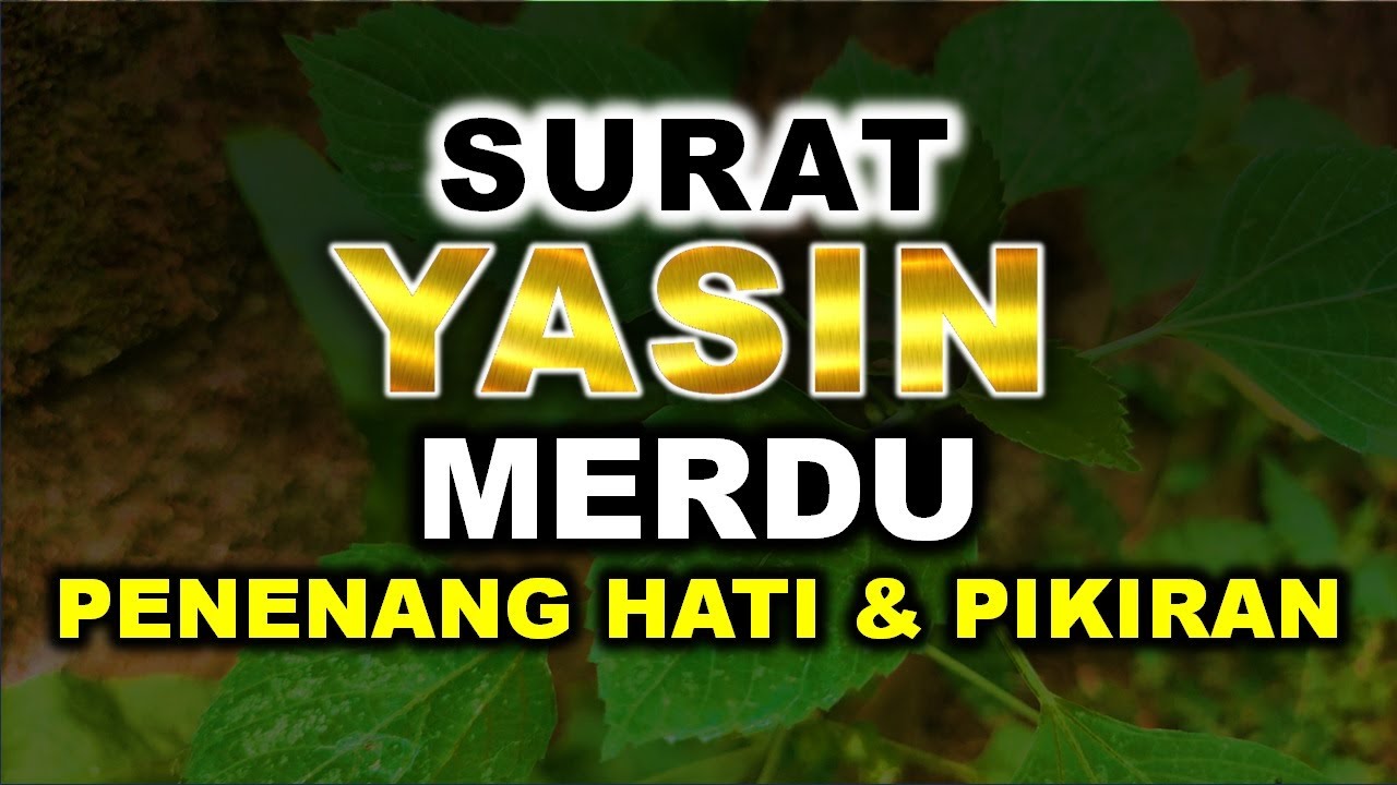 MUROTTAL ALQURAN MERDU SURAT YASIN MERDU MENYENTUH HATI MUROTTAL ALQURAN PENENANG HATI DAN PIKIRAN