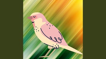 Brilliant Backdrops for A Mellow Memory