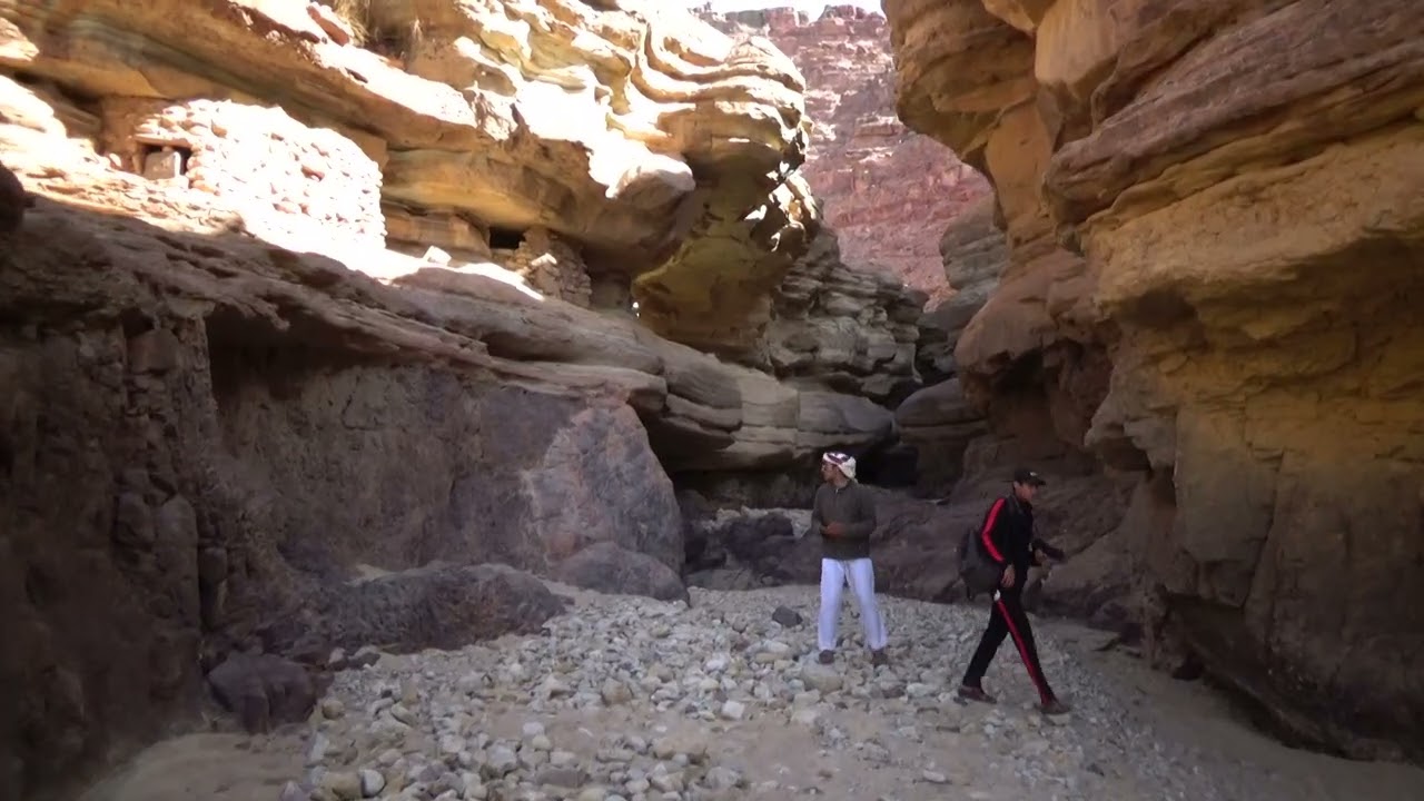 سيق السادة الرائع     شعر وقصيد وسامر دحية من تراث جنوب الاردن