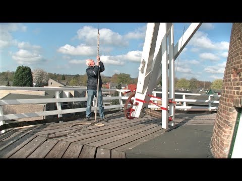 Molenfeest Renkumse Molen 2019