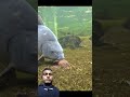 🐟 Amazing fishing Viral Video #fishingtips #fishing #carp #viral #youtube #amazingfishing