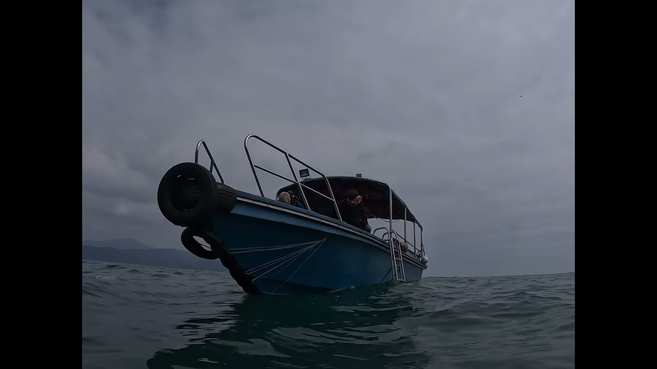 South China Diving Club Small boat dive