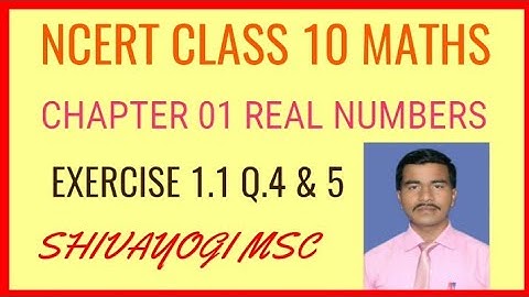 ncert class 10 maths chapter 1 real numbers exercise 1.1 q.4&5.| ncert solutions |real numbers.