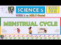 Understanding the Menstrual Cycle