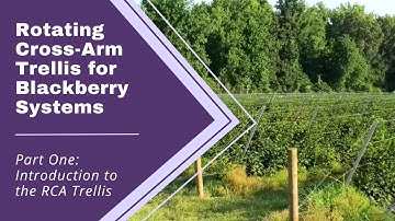 RCA Trellis for Blackberry Systems Series | Part 1: Introduction to the RCA Trellis