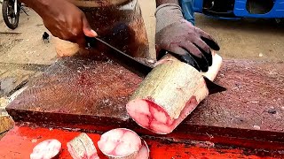 COBIA FISH | FRESH FISH | CUTTING EXPERT | SRI LANKA