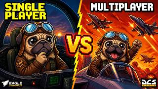 DCS Single or Multiplayer: Which one is for you?