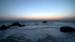 Watch 50 Foot Wave Animal video