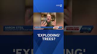 Famous No, the extreme cold isn't going to make your trees 'explode' Net Worth
