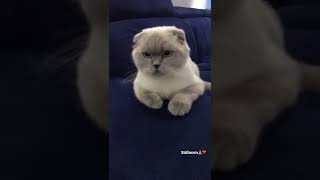 Sütlaç 7 Aylık Yaramaz Bi Kız