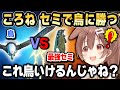 最強になりすぎたセミ（リスナー）で鳥に挑むころね【ホロライブ 切り抜き/戌神ころね】