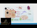 COVID Myocarditis and Its Complications