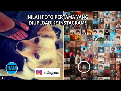 Video: Sang Ratu Memposting Di Instagram Untuk Pertama Kalinya