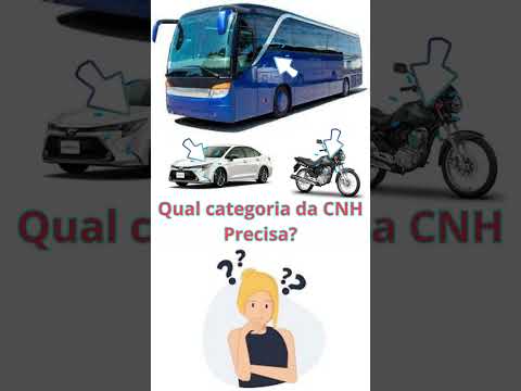 Ônibus, Carro e
