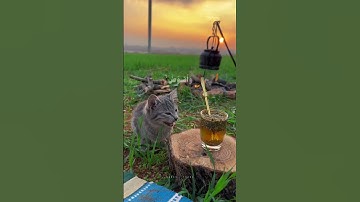 فستذكرون ما أقول لكم.. وأفوض أمري إلى الله" | تلاوة تهز القلوب بصوت عبدالباسط