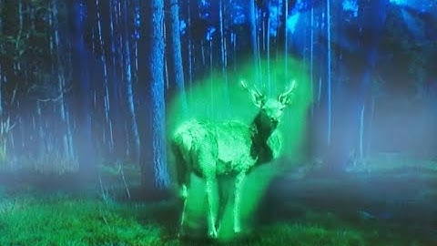Cryptids and Monsters (CRYPTID OF THE WEEK):  Ghost Deer, strange, metaphysical and invincible deer