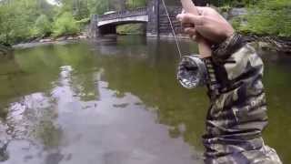 Fly Fishing Davidson River, NC Brown Trout